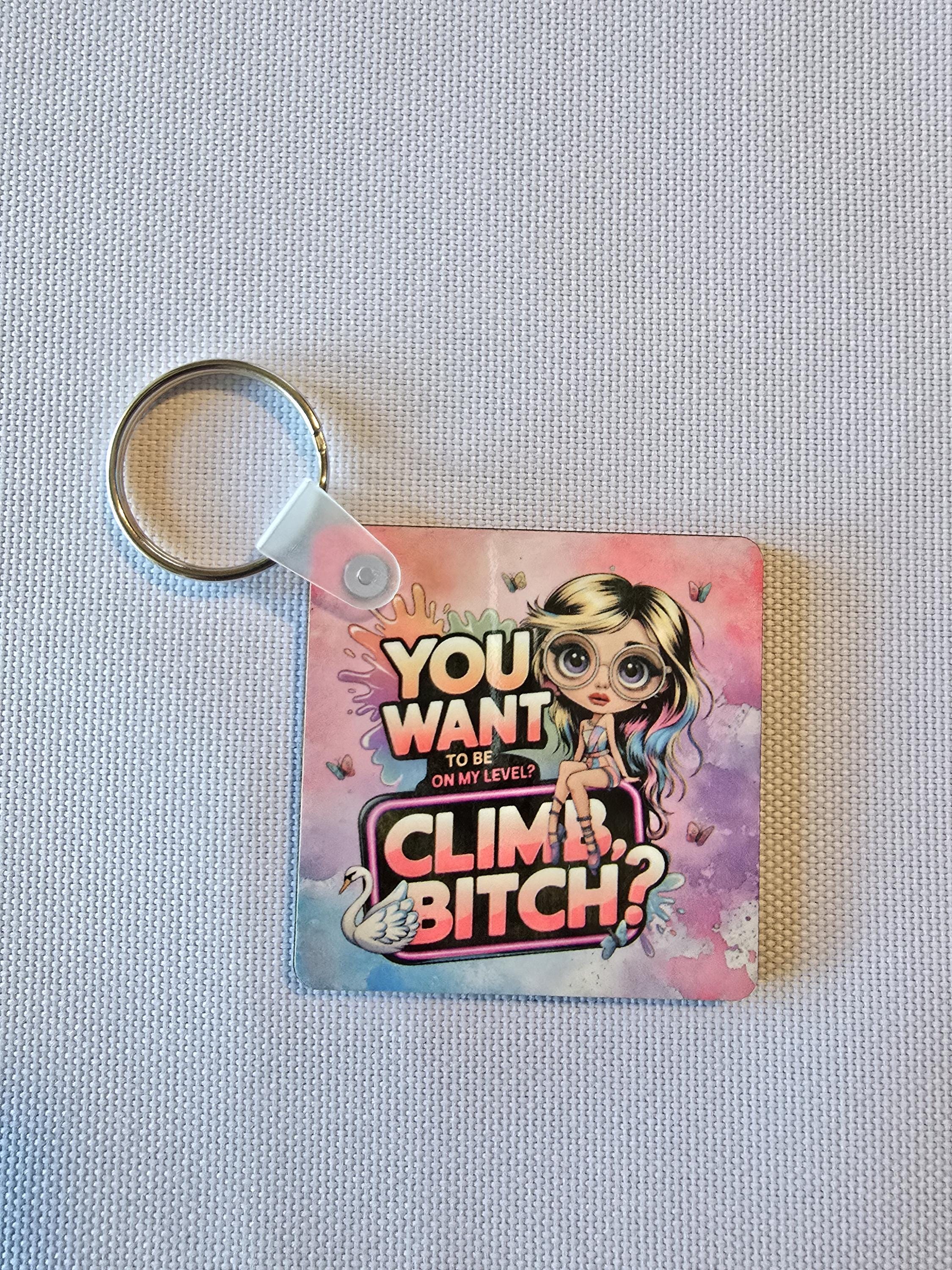 Funny Sarcastic Keychain - Want to Be on My Level