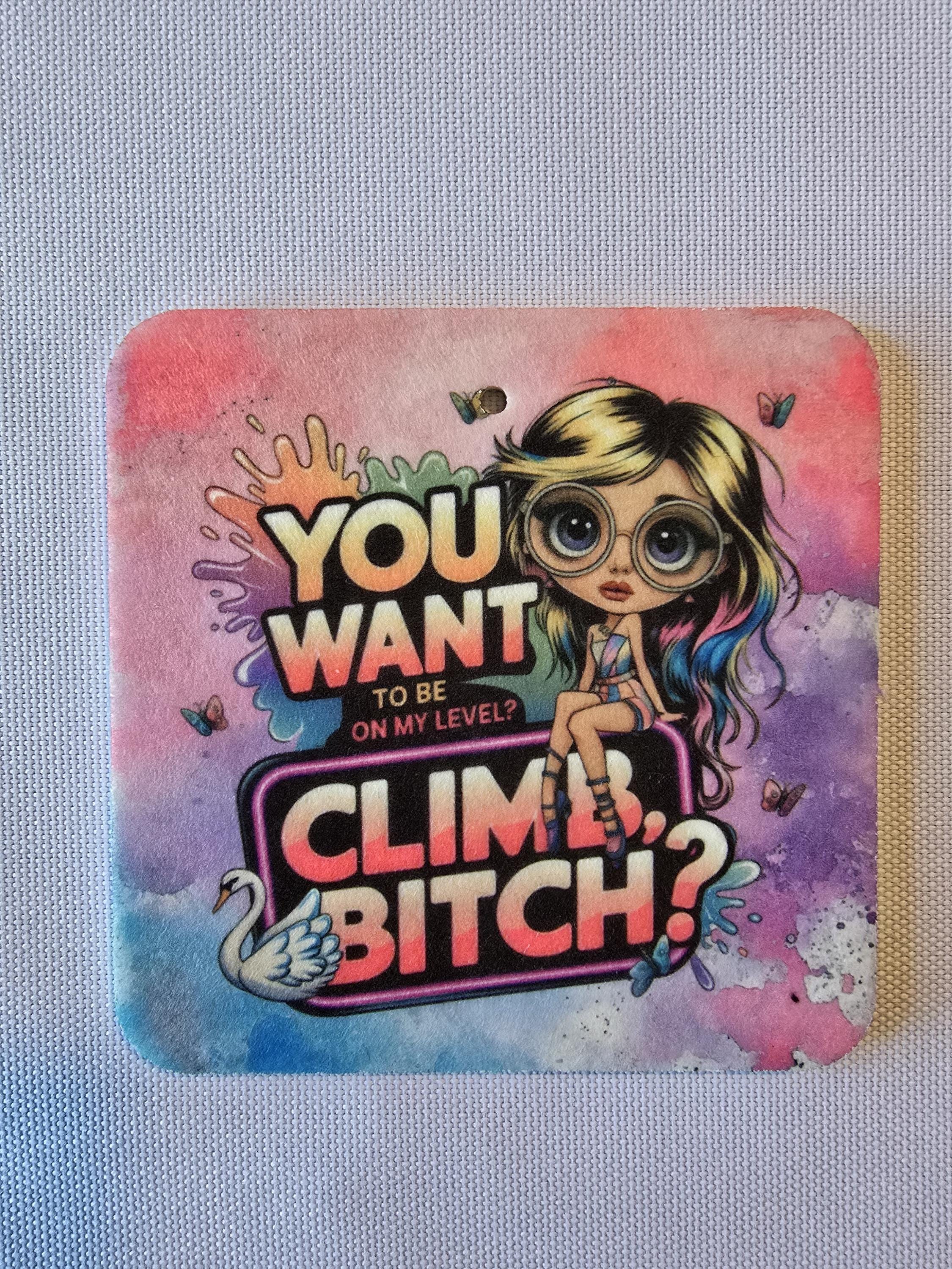 Funny Sarcastic Air Freshener (Unscented) - Want to Be on My Level